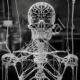Intricate Skeletal Network in Black and White