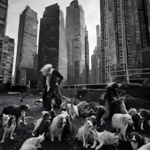 A figure surrounded by many dogs and cats on a rooftop with urban skyscrapers in the background.