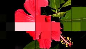 A digitally altered image of a hibiscus flower with vibrant red petals and yellow pollen, featuring geometric patterns.